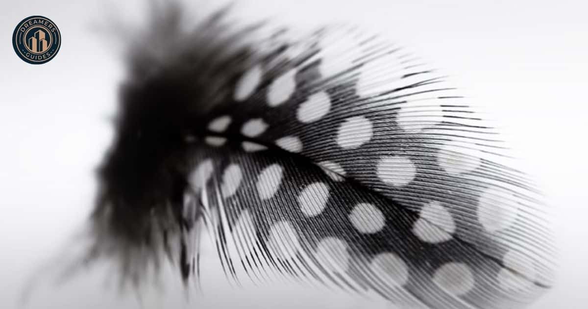 Black Feather with White Spots Meaning