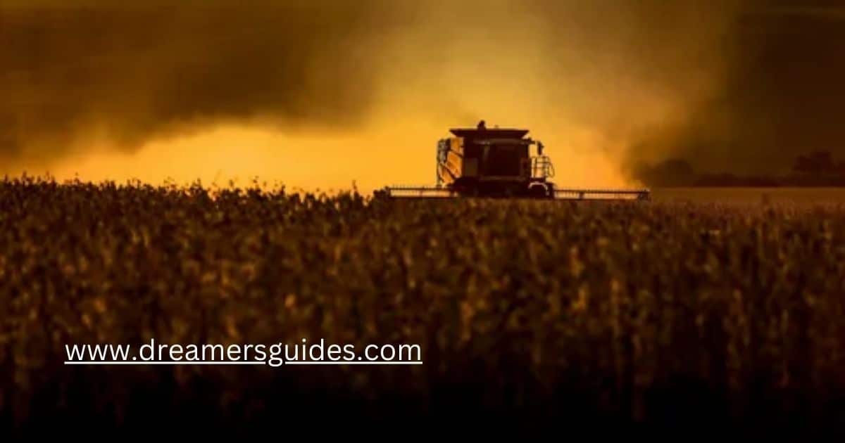 Harvested Crop