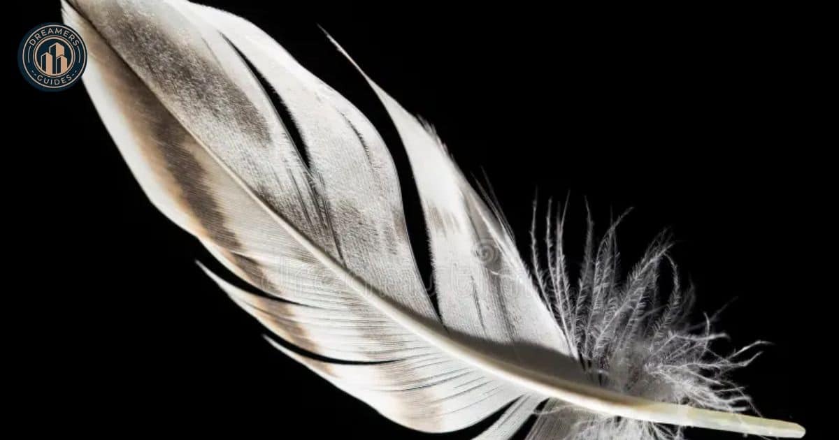 How to Use Black and White Feathers for Personal Growth