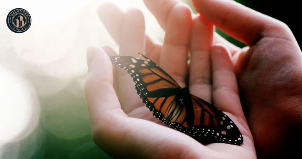 Spotting an Orange and Black Butterfly – What Could This Mean?