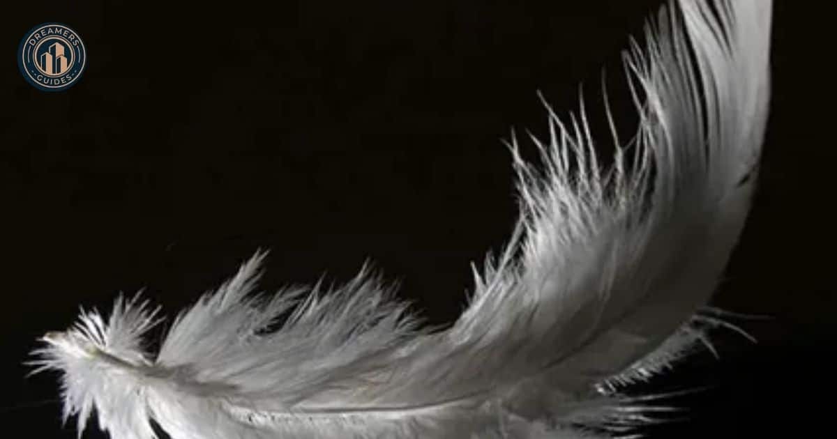 Understanding the Spiritual Significance of Feathers