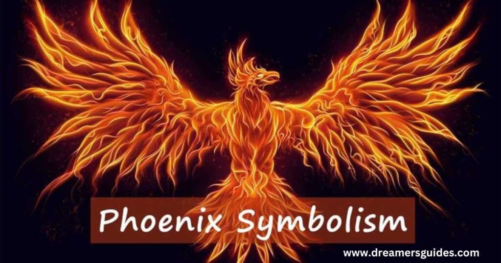 Phoenix Symbolism Around The World