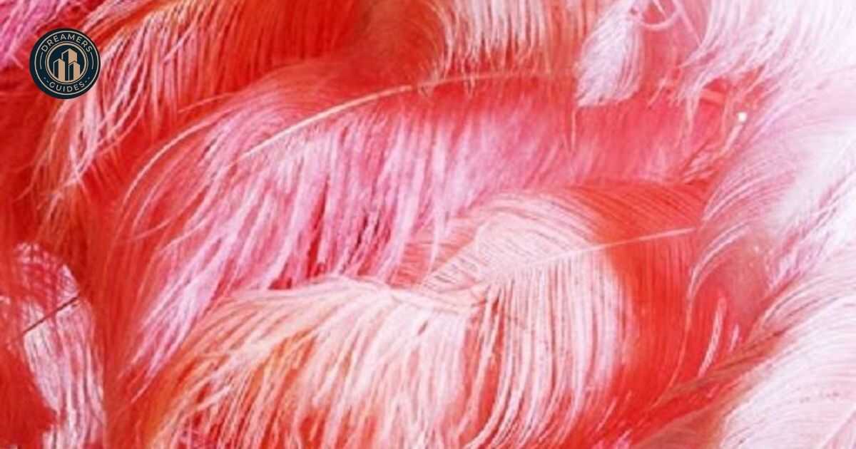 How to Use Red Feathers for Spiritual Growth and Healing