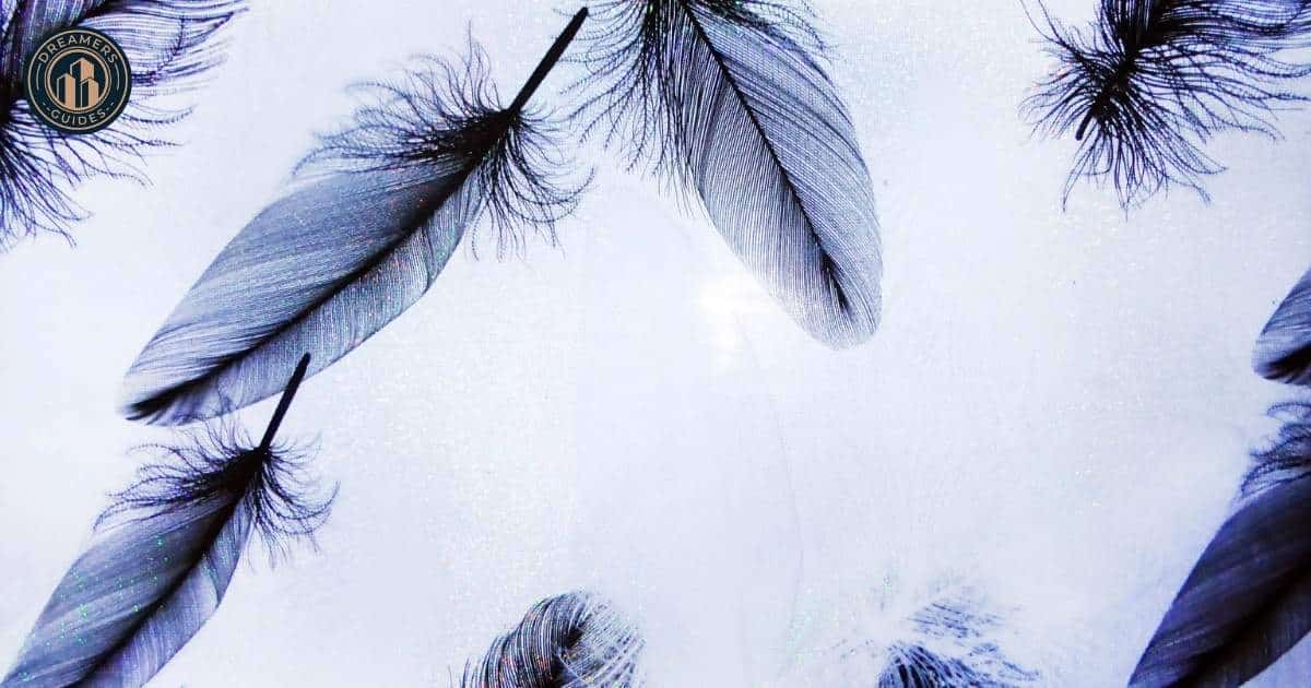 Black Feather Meaning