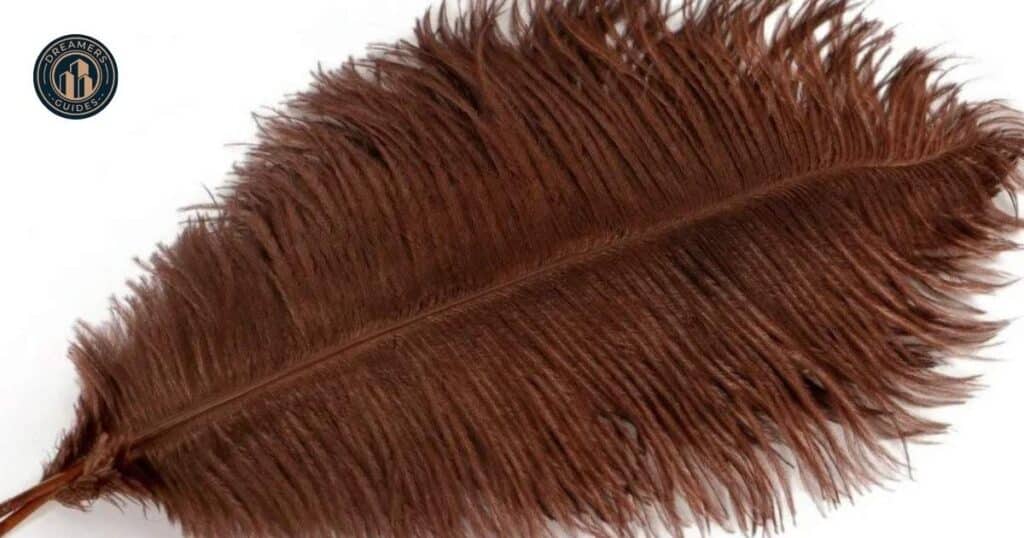 Brown Feather Spiritual Meanings 