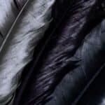 Grey and Black Feather Meaning Spiritual Significance