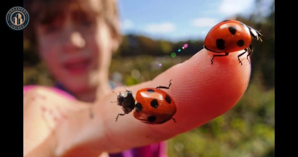 Practical Steps After a Ladybug Encounter