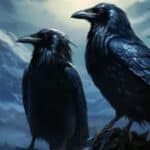 Seeing 2 Crows Spiritual Meanings and Symbolism