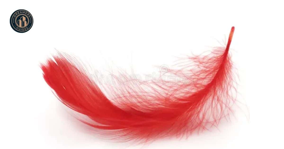 What Is the Meaning of a Red Feather