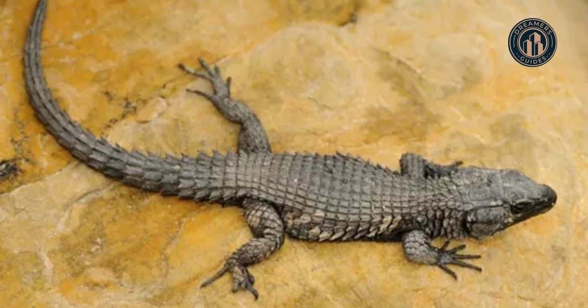 Practical methods to deter lizards, including natural repellents like coffee grounds, garlic, and eggshells, to manage lizard presence at home.