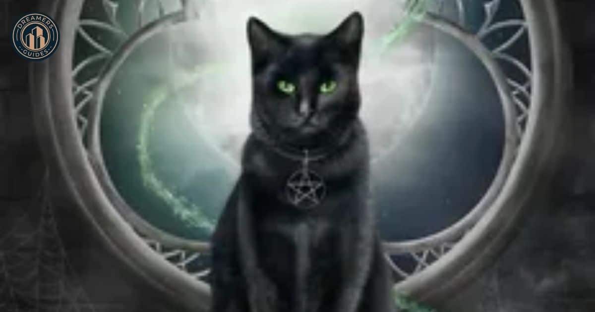 Superstitions Surrounding Black Cats with Green Eyes