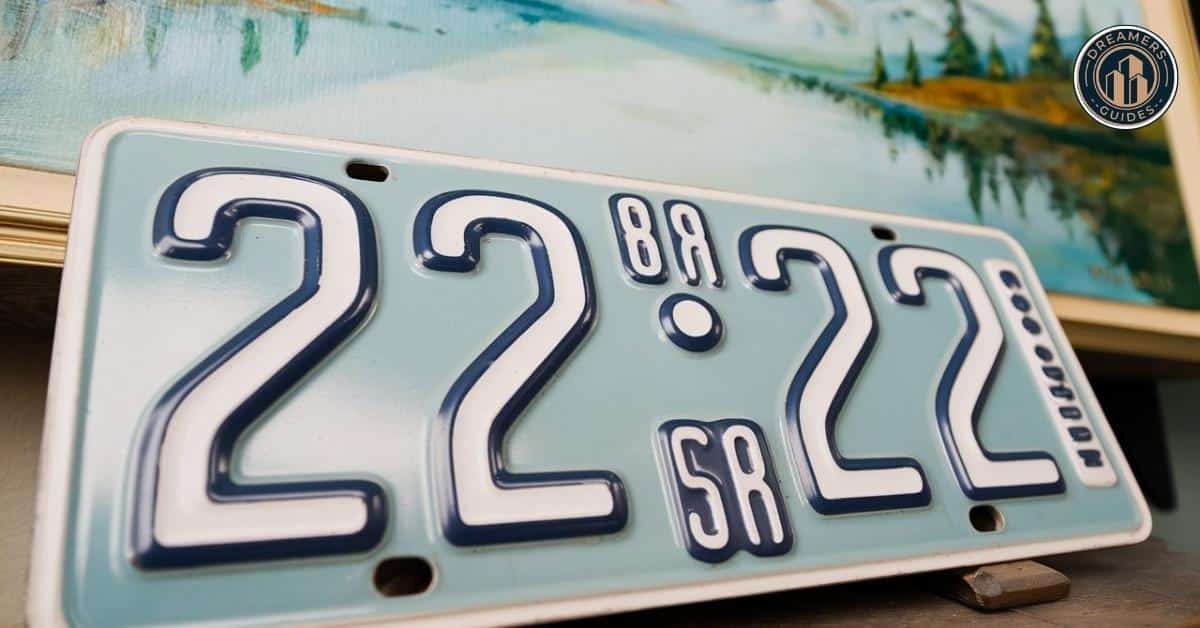 License plate showing 22:22, emphasizing the spiritual meaning of mirrored digits and synchronicity in daily life.