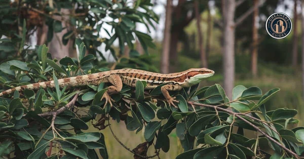 Skink lizard blending into nature, symbolizing spiritual adaptability, intuition, and transformation.