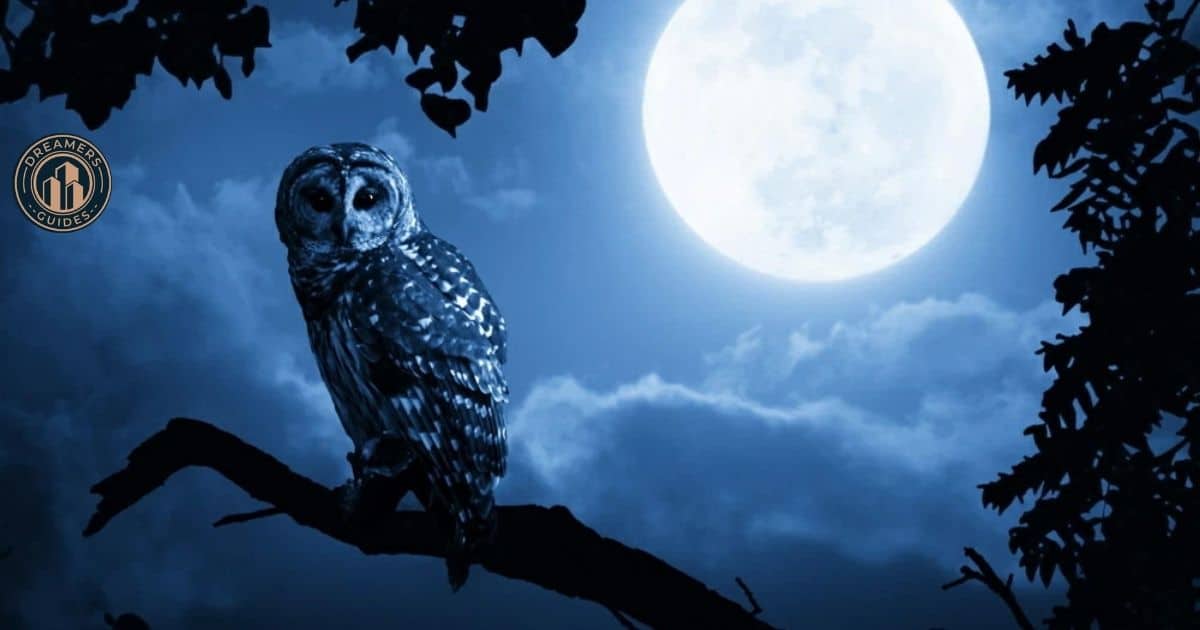 Barred owl with full moon, representing mystery and spiritual transformation.