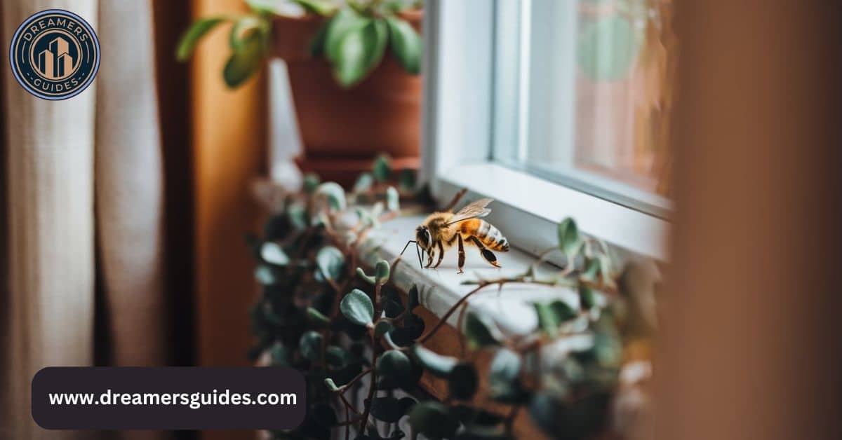 Honey bee on a windowsill, representing spiritual meaning, divine messages, and home blessings.