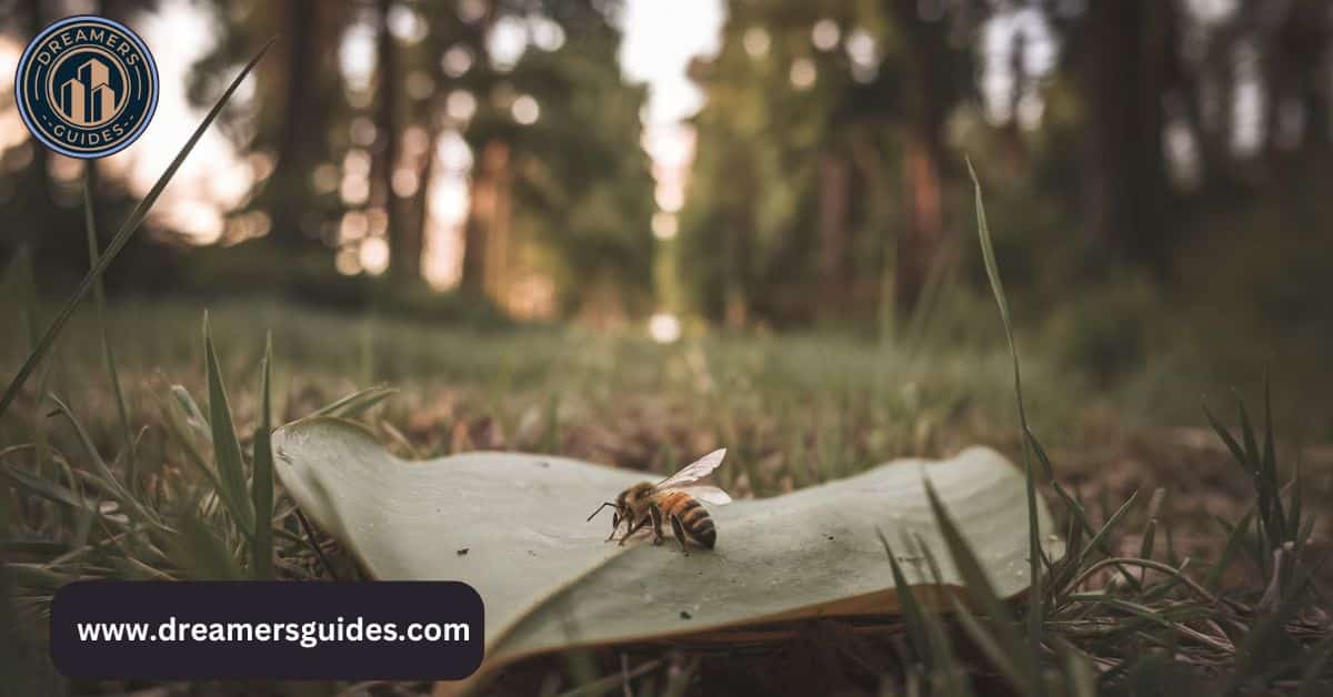 Dead honey bee on a leaf, symbolizing transformation, omens, and life transitions.