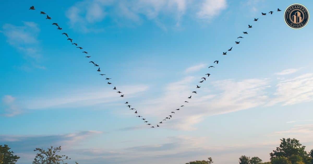 Flock formations meaning – V-shaped bird flight representing teamwork, unity, and spiritual guidance.