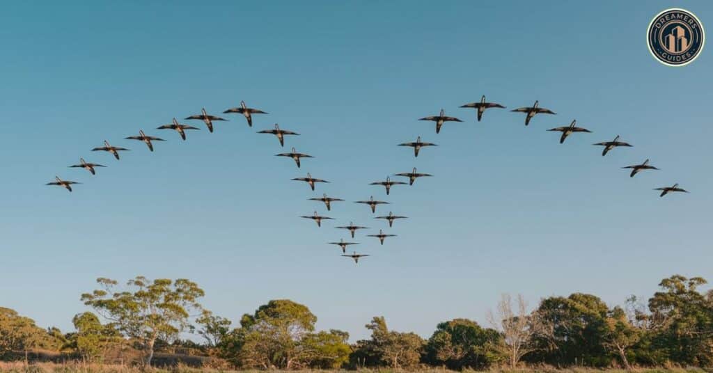 Spiritual meaning of a flock of birds – birds flying together as a divine message of guidance and change.