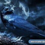 crows spiritual meaning