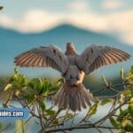 Mourning dove meaning – a spiritual messenger perched in nature, symbolizing peace and hope.