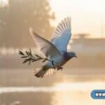 White pigeon carrying an olive branch, representing peace and pigeon symbolism in culture.