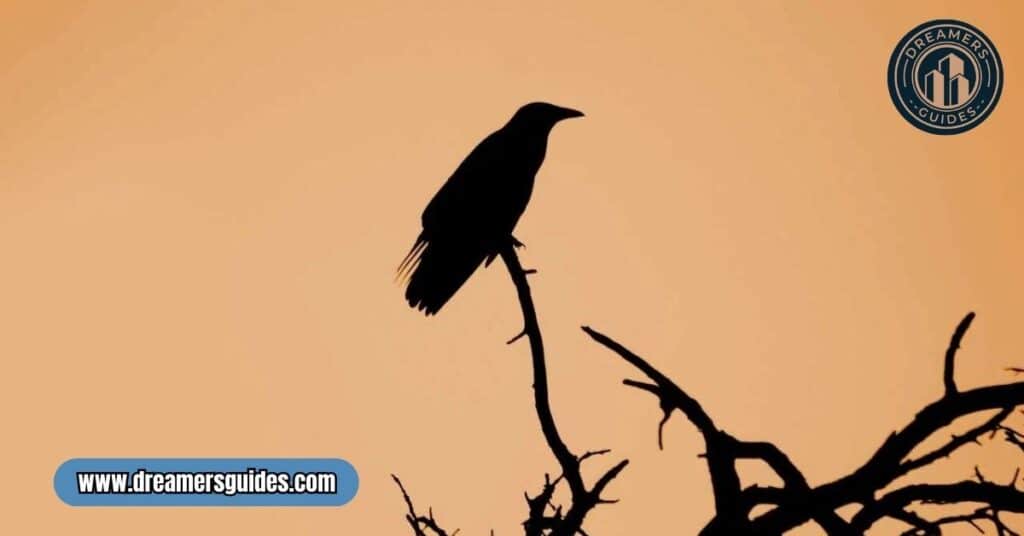 single black crow meaning