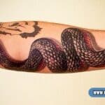 Snake Tattoo Meaning