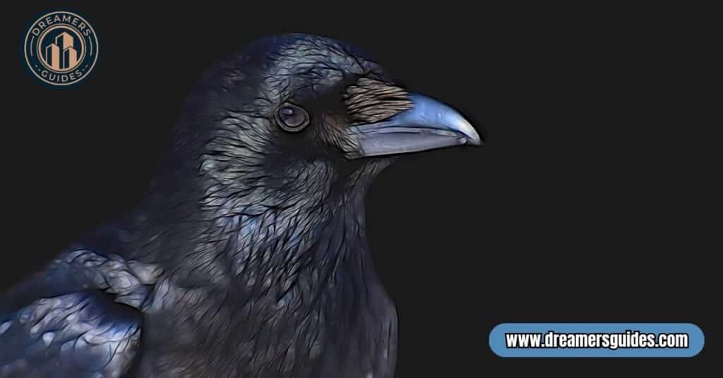 what do crows symbolize